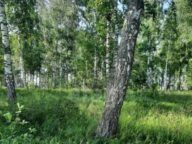 Дом продажа в Алтайский Край