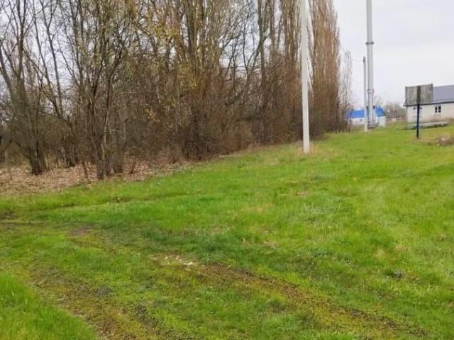 Дом продажа в Воронежская область