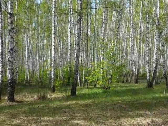 Дом продажа в Марусино, Новосибирская область