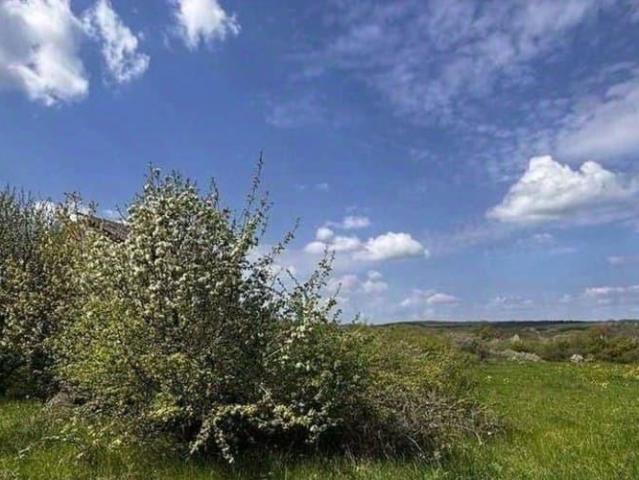 Дом продажа в Краснодарский Край