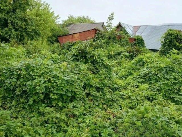 Дом продажа в Татарстан Республика