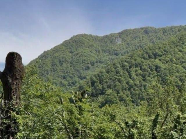 Дом продажа в Верхневеселое С, Краснодарский Край