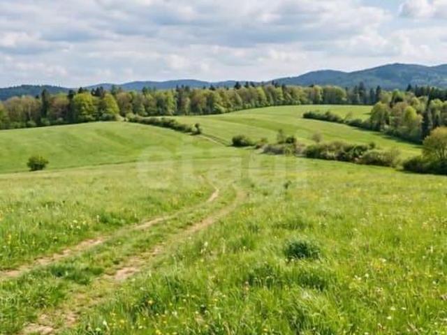 Дом продажа в Шебалинское, Республика Алтай