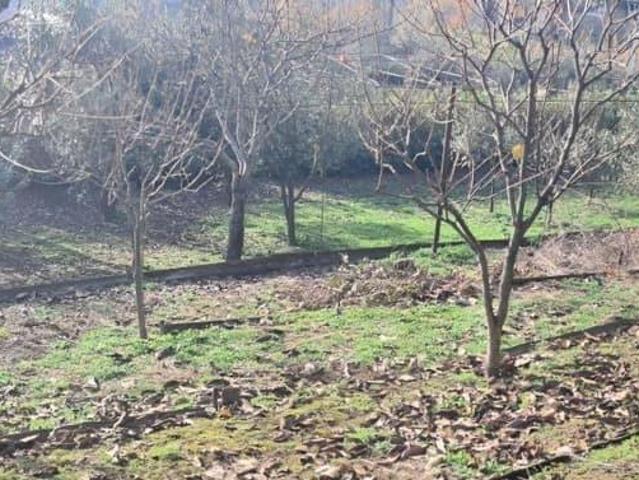 Дом продажа в Верхневеселое С, Краснодарский Край