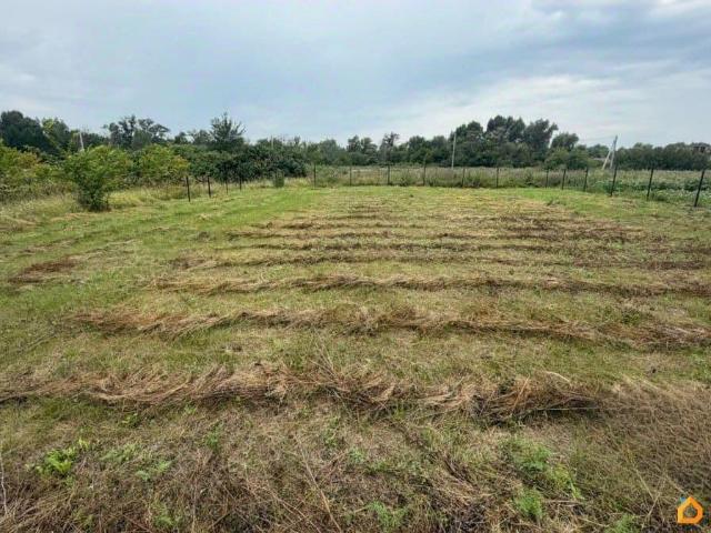 Дом продажа в Самарская область