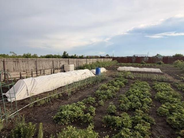 Дом продажа в Омская область