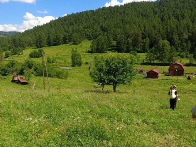 Дом продажа в Узнезинское, Республика Алтай