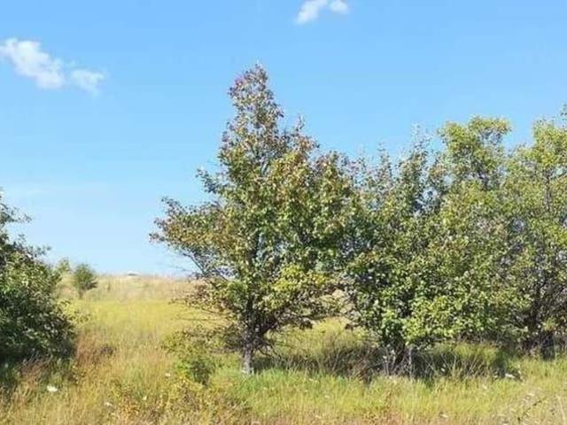Дом продажа в Никольское, Белгородская область