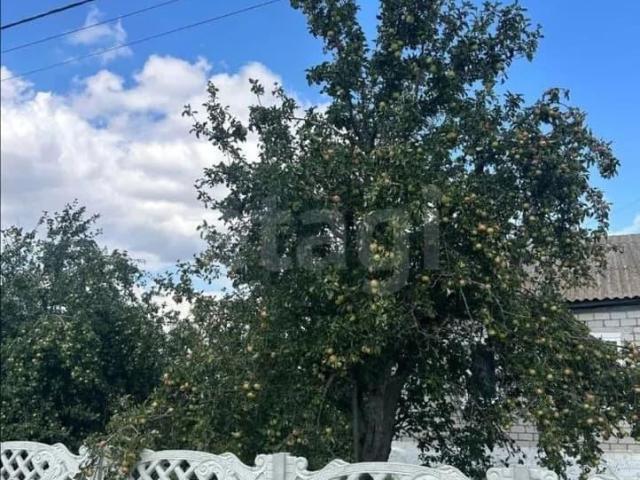 Дом продажа в Николаевка, Аннинский район