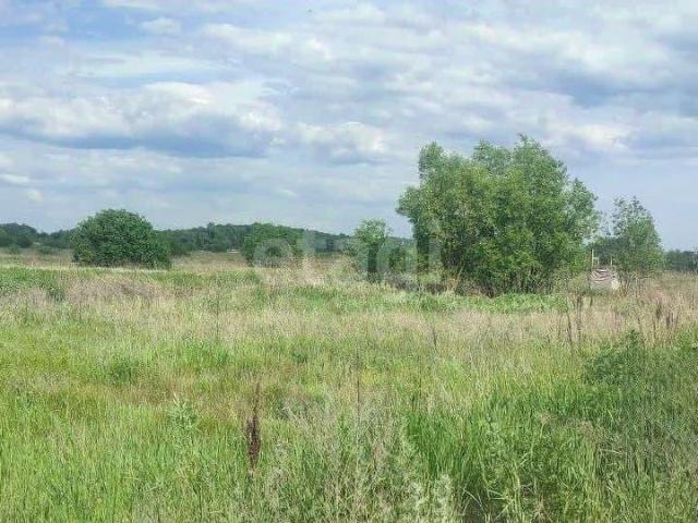 Дом продажа в Новая Усмань, Воронежская область