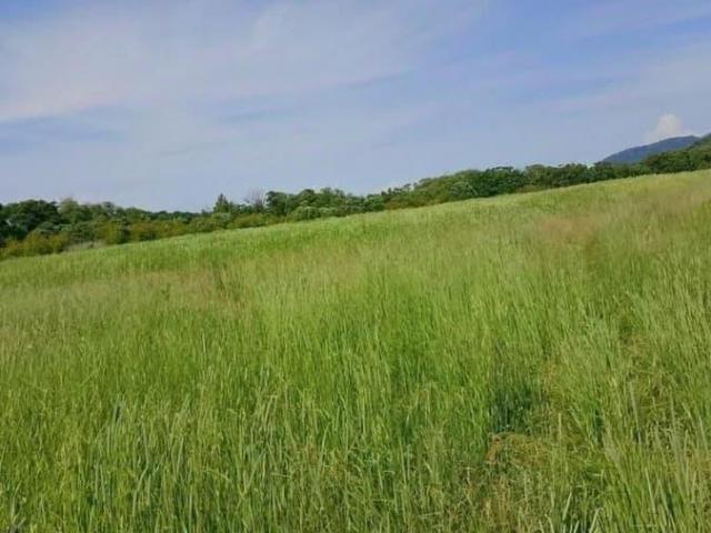 Дом продажа в Приморский Край