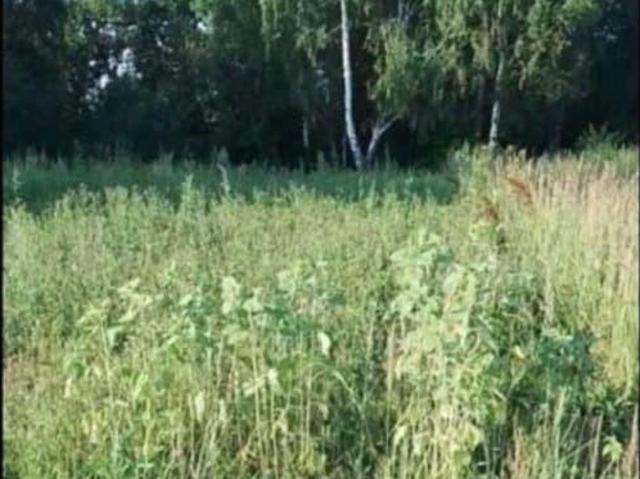 Дом продажа в Новоалександрово, Владимирская область