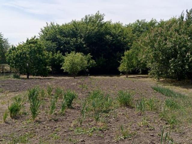 Дом продажа в Ростовская область