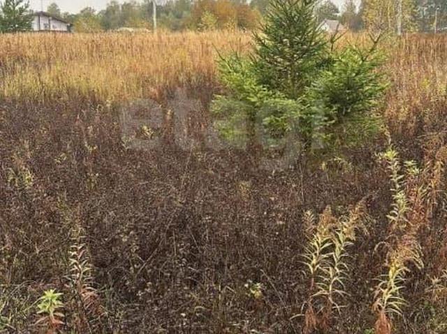 Дом продажа в Тульская область