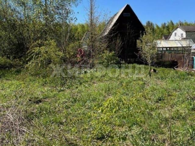 Дом продажа в Новосибирская область