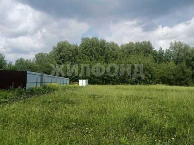 Дом продажа в Новосибирская область