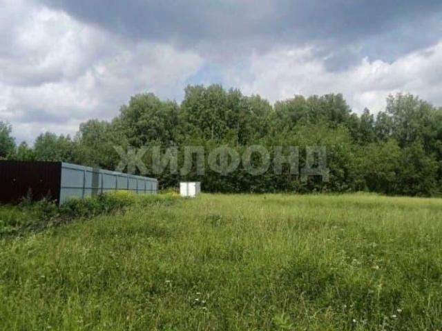 Дом продажа в Новосибирская область