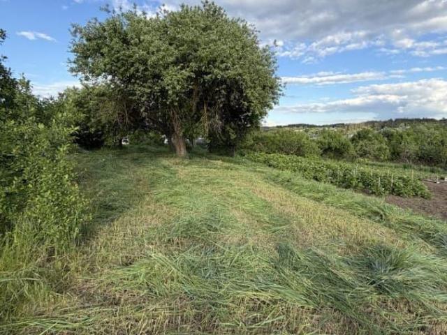 Дом продажа в Белгородская область