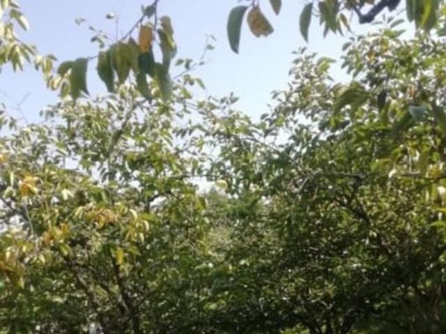 Дом продажа в Веселое С, Краснодарский Край