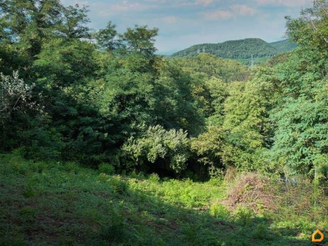 Дом продажа в Верхневеселое С, Краснодарский Край