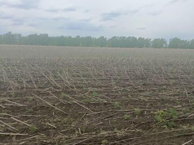 Дом продажа в Орлово, Воронежская область