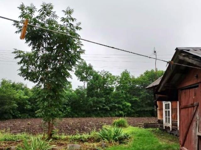 Дом продажа в Хабаровский Край