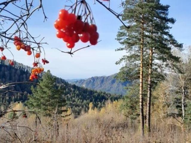 Дом продажа в Манжерокское, Республика Алтай