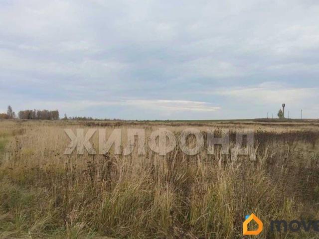 Дом продажа в Брянская область