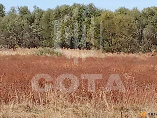 Дом продажа в Воронежская область