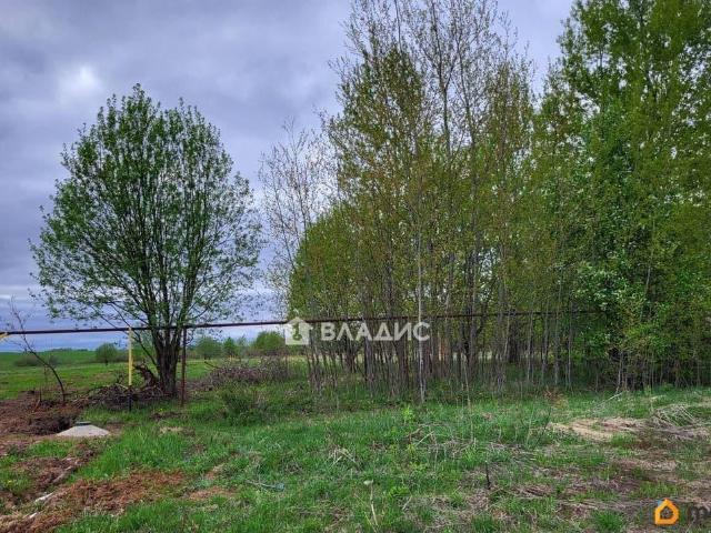 Дом продажа в Владимирская область