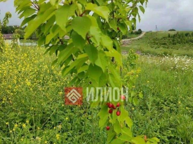Дом продажа