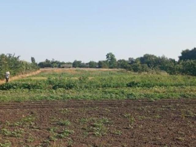Дом продажа в Ростовская область