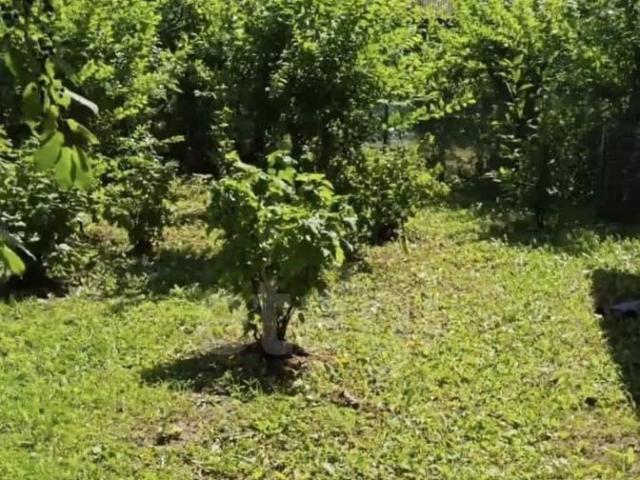 Дом продажа в Хабаровский Край