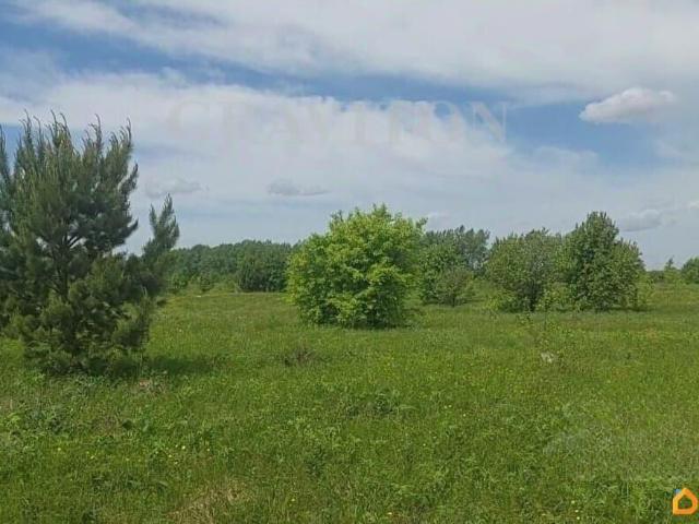 Дом продажа в Майминское, Республика Алтай