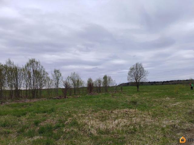 Дом продажа в Новгородская область