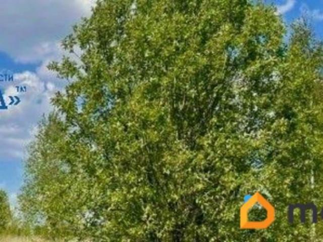 Дом продажа в Алтайский Край