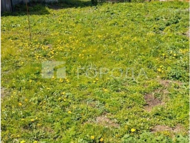 Дом продажа в Алтайский Край