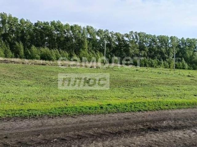 Дом продажа в Пушкино С, Омская область