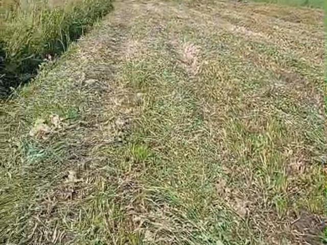 Дом продажа в Пушкино С, Омская область