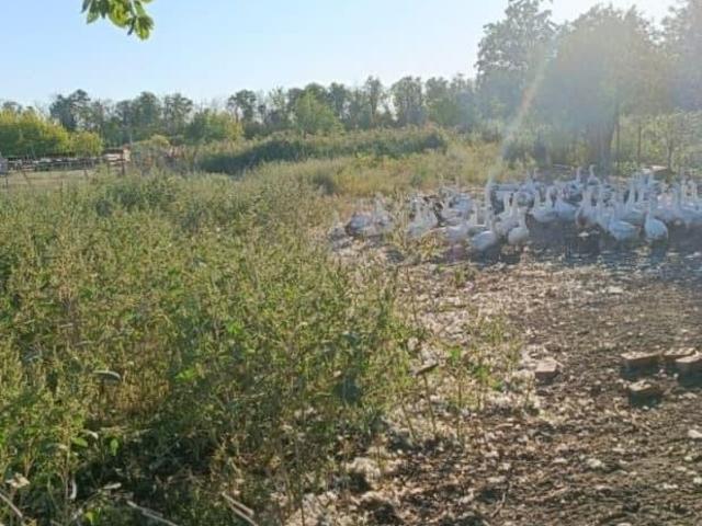 Дом продажа в Ростовская область