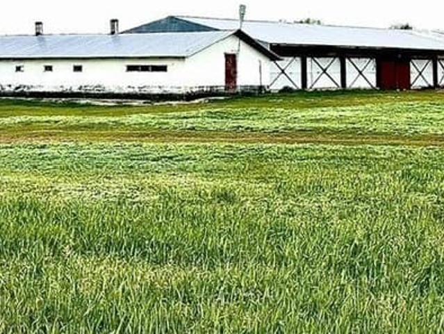 Дом продажа в Рождествено