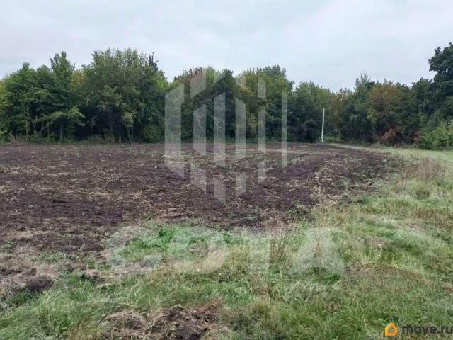 Дом продажа в Воронежская область