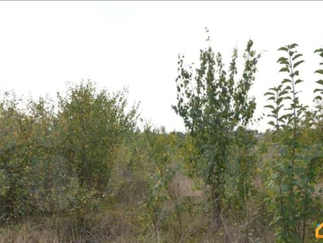 Дом продажа в Воронежская область