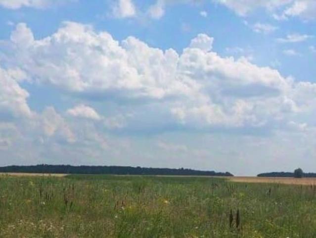 Дом продажа в Воронежская область