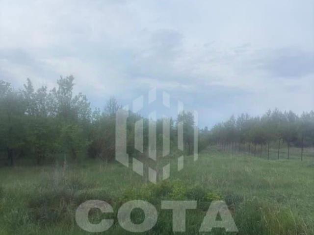 Дом продажа в Воронежская область