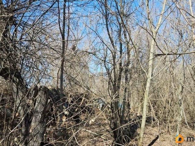 Дом продажа в Воронежская область