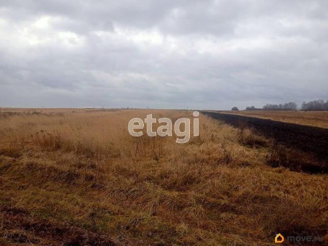 Дом продажа в Брянская область