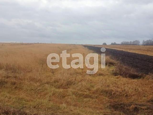 Дом продажа в Брянская область