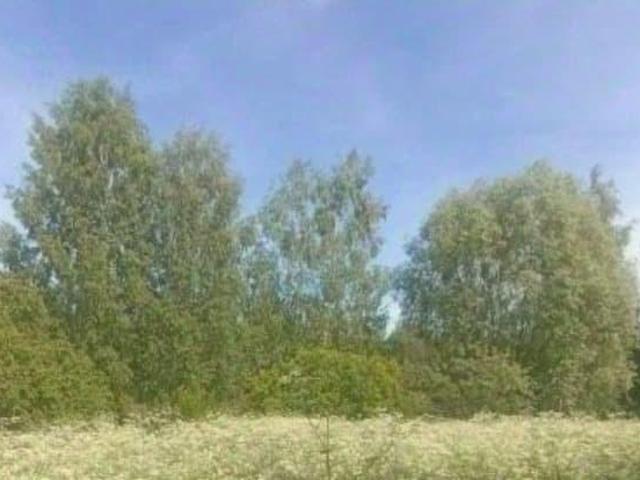 Дом продажа в Тыва Республика