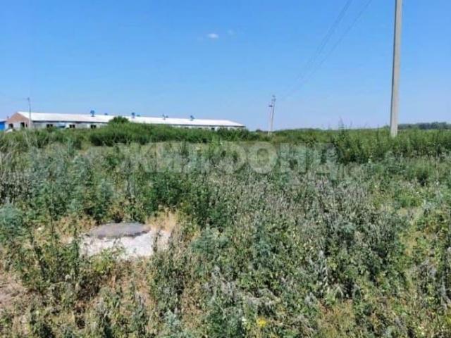 Дом продажа в Новосибирская область